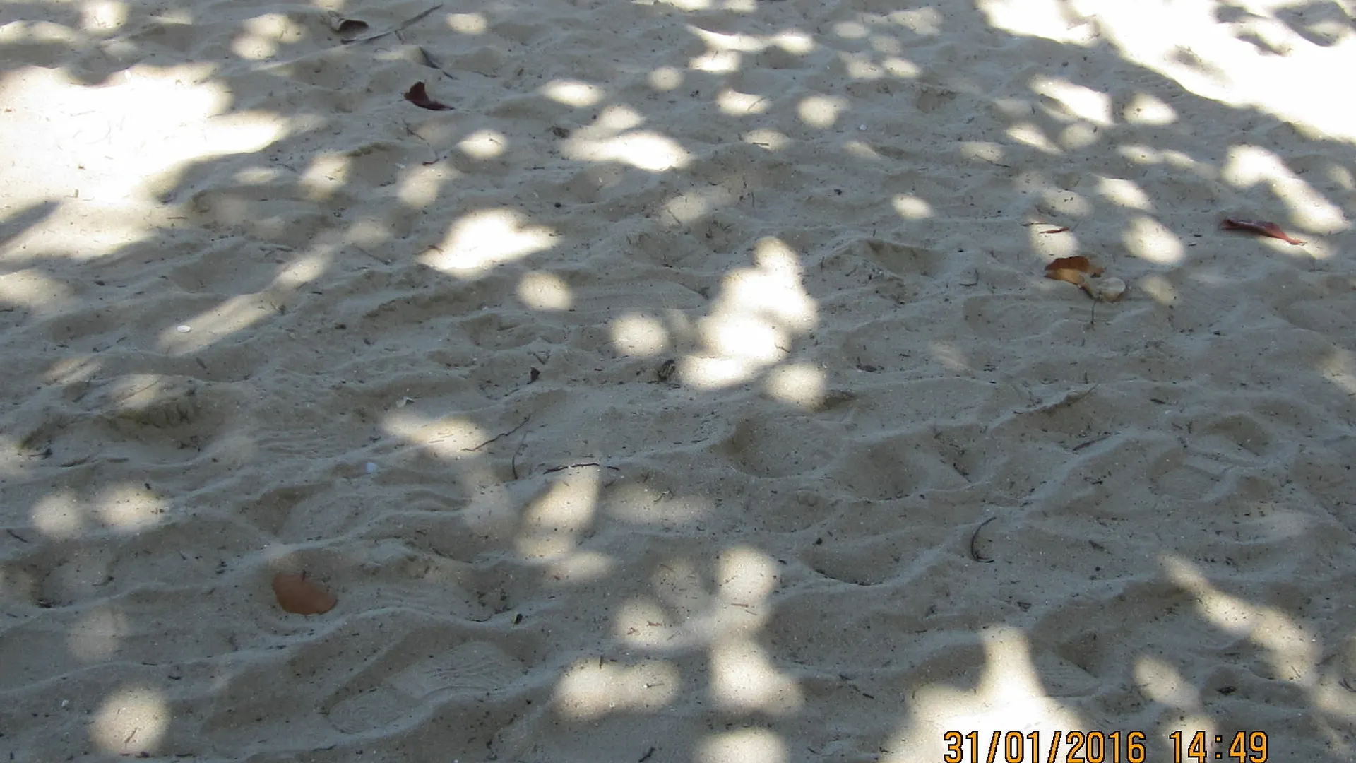 *** Hotel Apartments At San Marino Playa Dorada Puerto Plata Dominican Republic